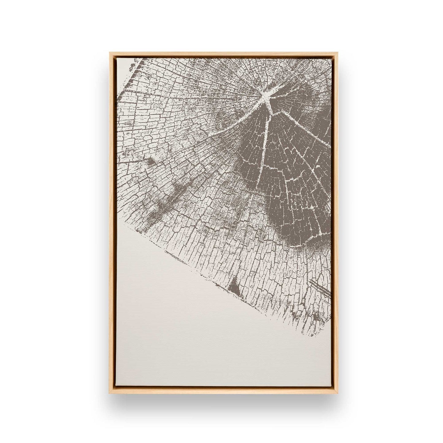 Modern Tree Rings Canvas Print, Set of 3