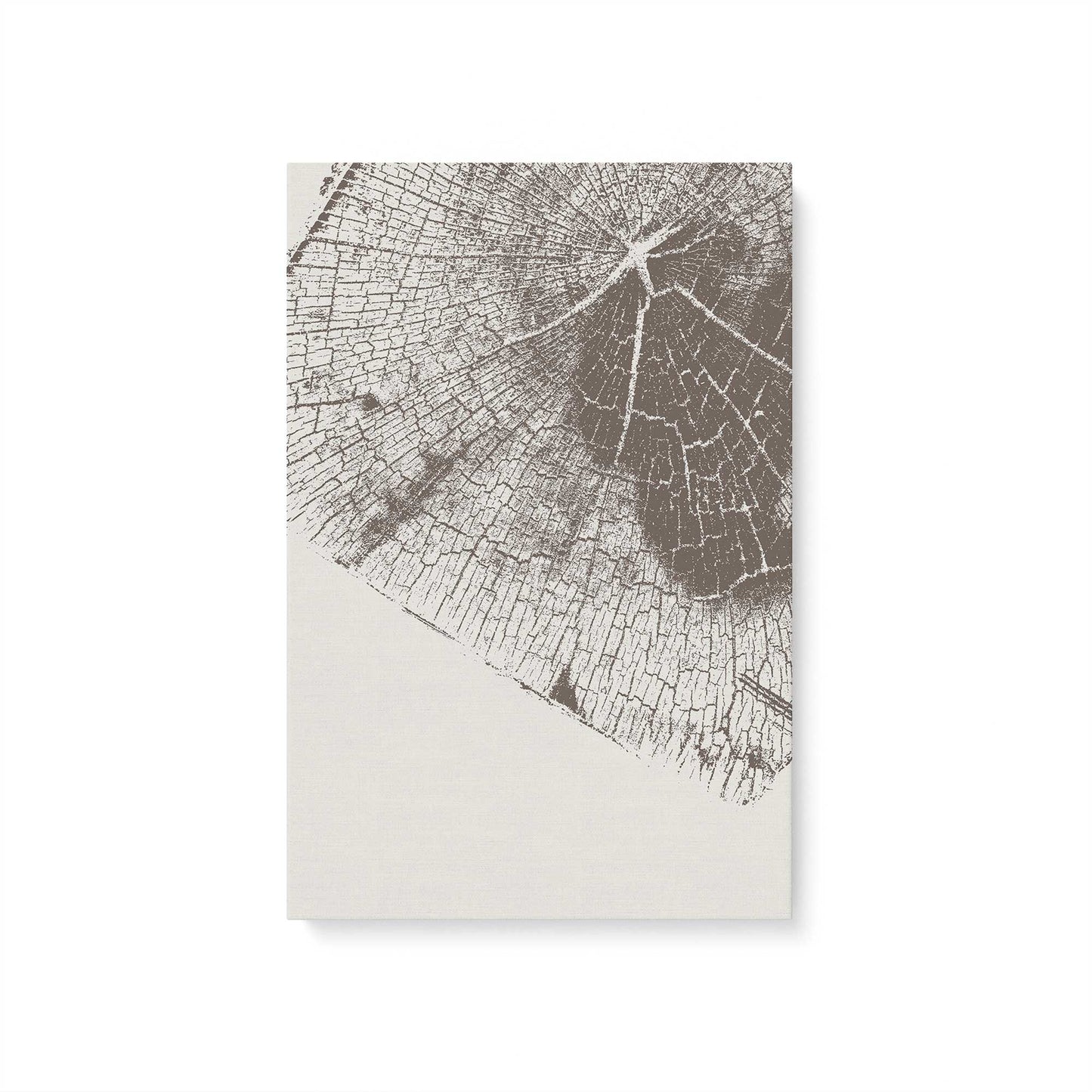 Modern Tree Rings Canvas Print, Set of 3
