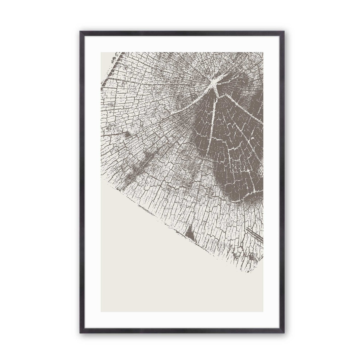 Modern Tree Rings Art Print, Set of 3