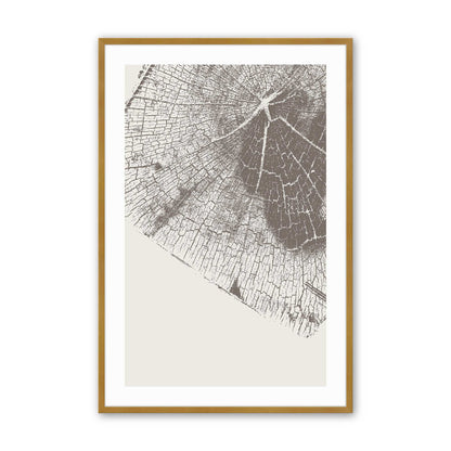 Modern Tree Rings Art Print, Set of 3