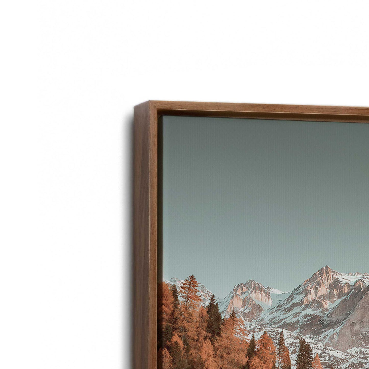 [Color:Walnut], Picture of art in a Walnut frame at an angle