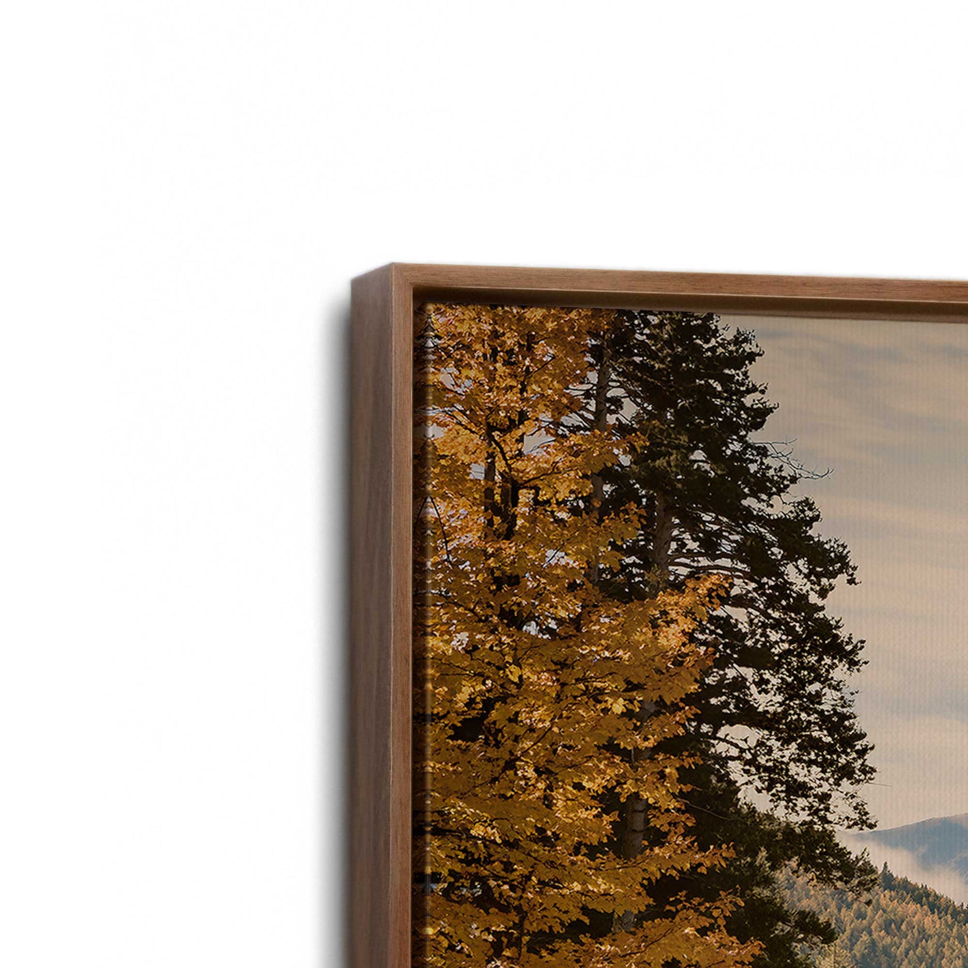 [Color:Walnut], Picture of art in a Walnut frame at an angle