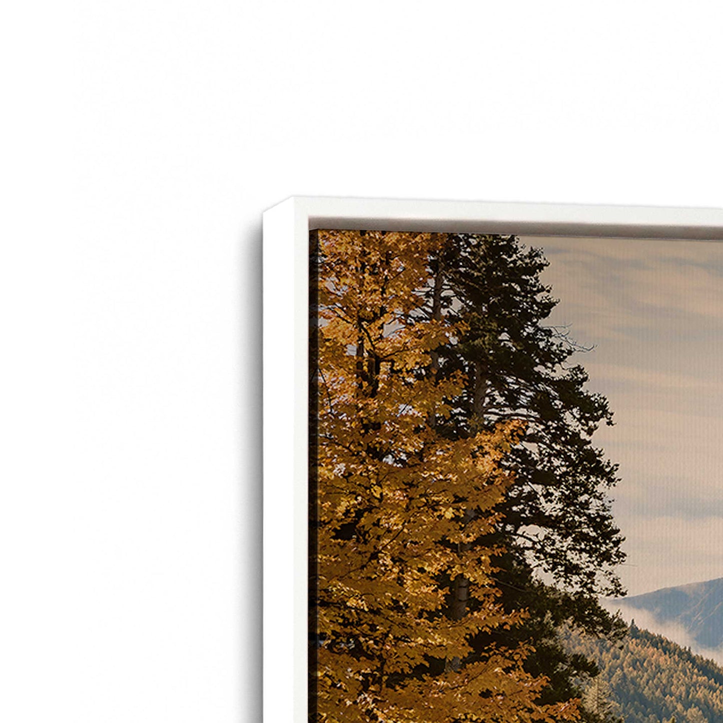[Color:Opaque White], Picture of art in a White frame at an angle