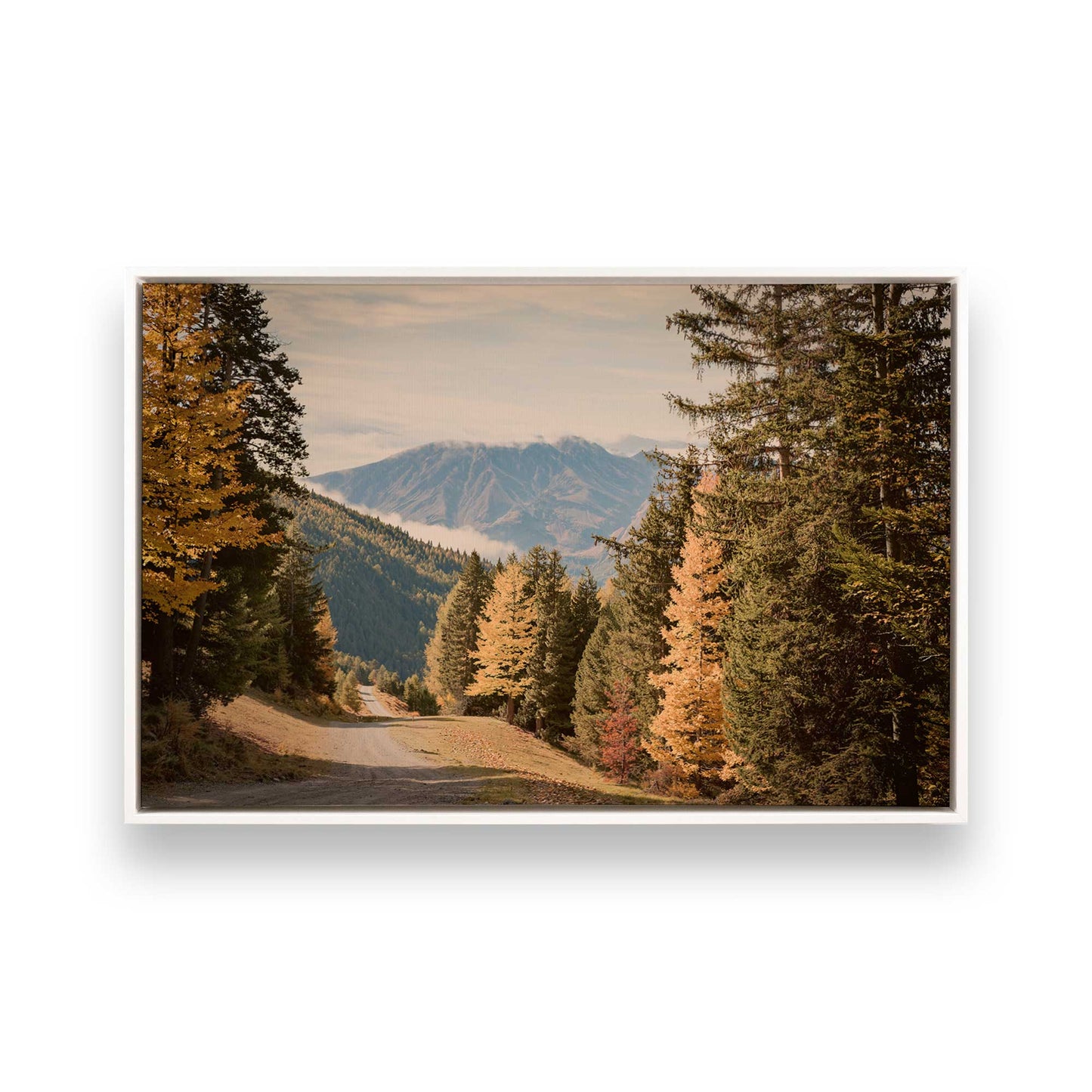 [Color:Opaque White], Picture of art in a White frame