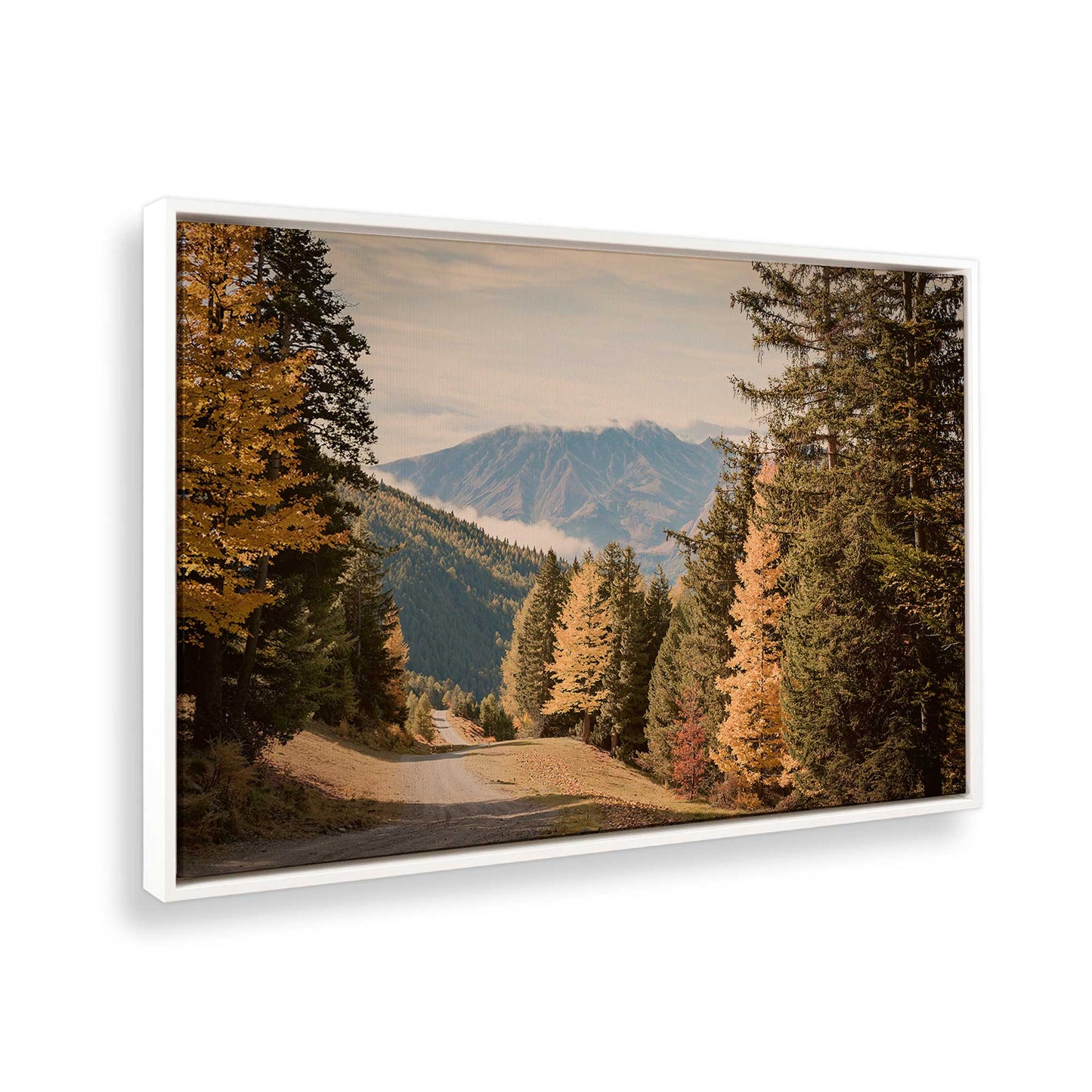 [Color:Opaque White], Picture of the corner of the art