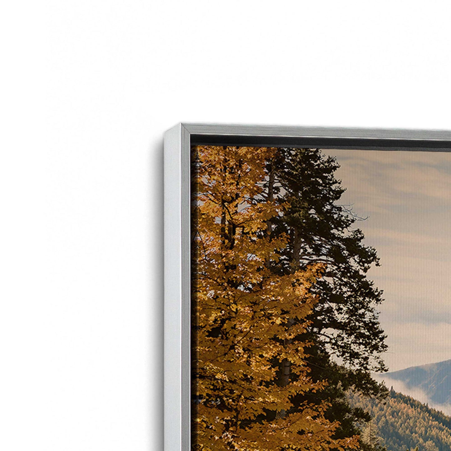 [Color:Polished Chrome], Picture of art in a Polished Chrome frame at an angle