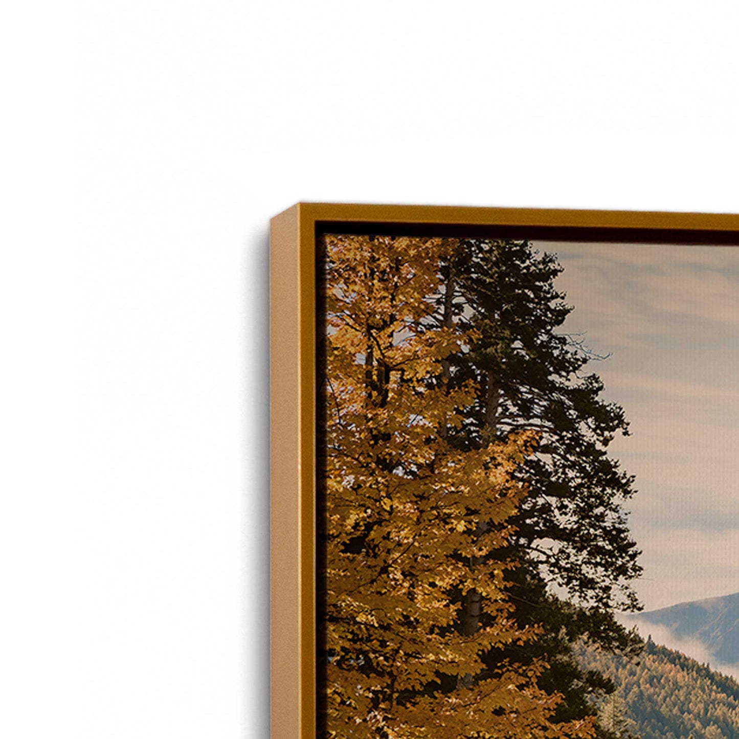 [Color:Polished Gold], Picture of art in a Polished Gold frame at an angle