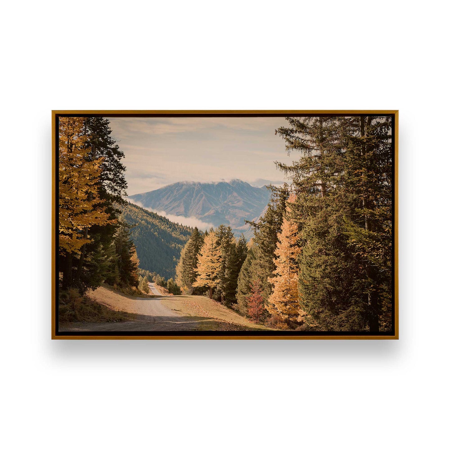 [Color:Polished Gold], Picture of art in a Polished Gold frame