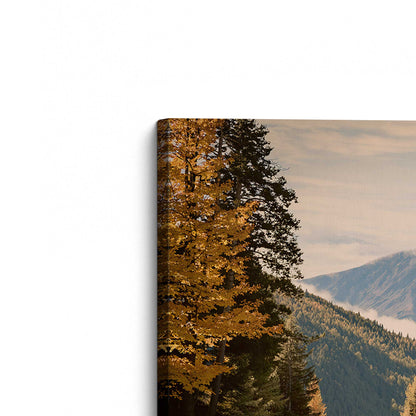 [Color:Stretched Canvas], Picture of the corner of the art