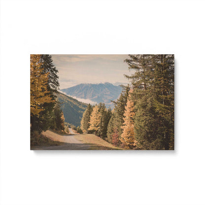 [Color:Stretched Canvas], Picture of art