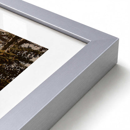 [Color:Polished Chrome], Picture of art in a Polished Chrome frame at an angle