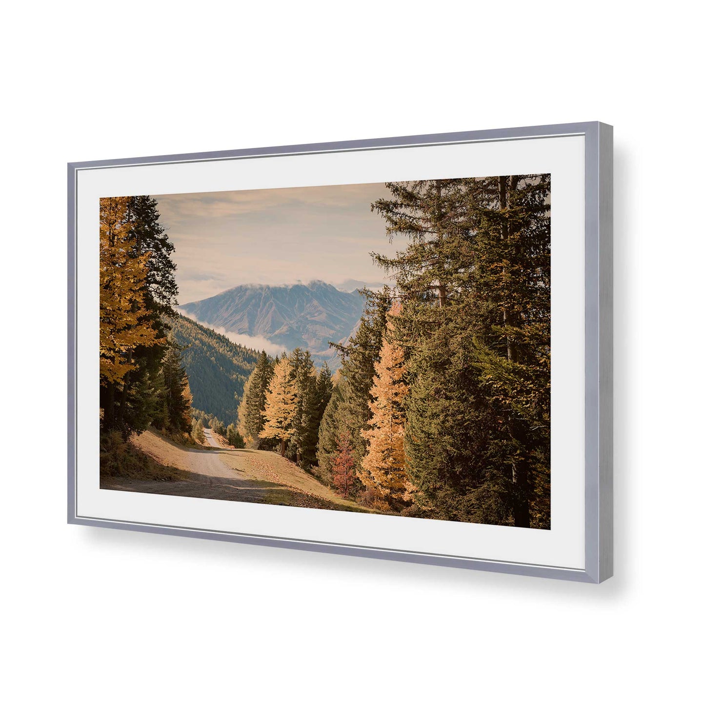 [Color:Polished Chrome], Picture of art in a Polished Chrome frame of the corner