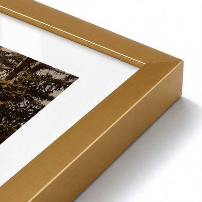 [Color:Polished Gold], Picture of art in a Polished Chrome frame at an angle