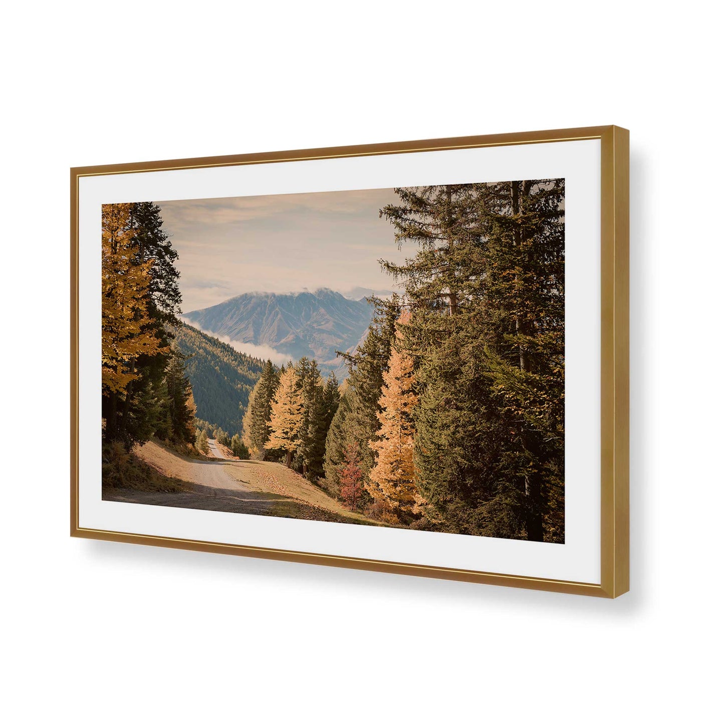 [Color:Polished Gold], Picture of art in a Polished Chrome frame of the corner