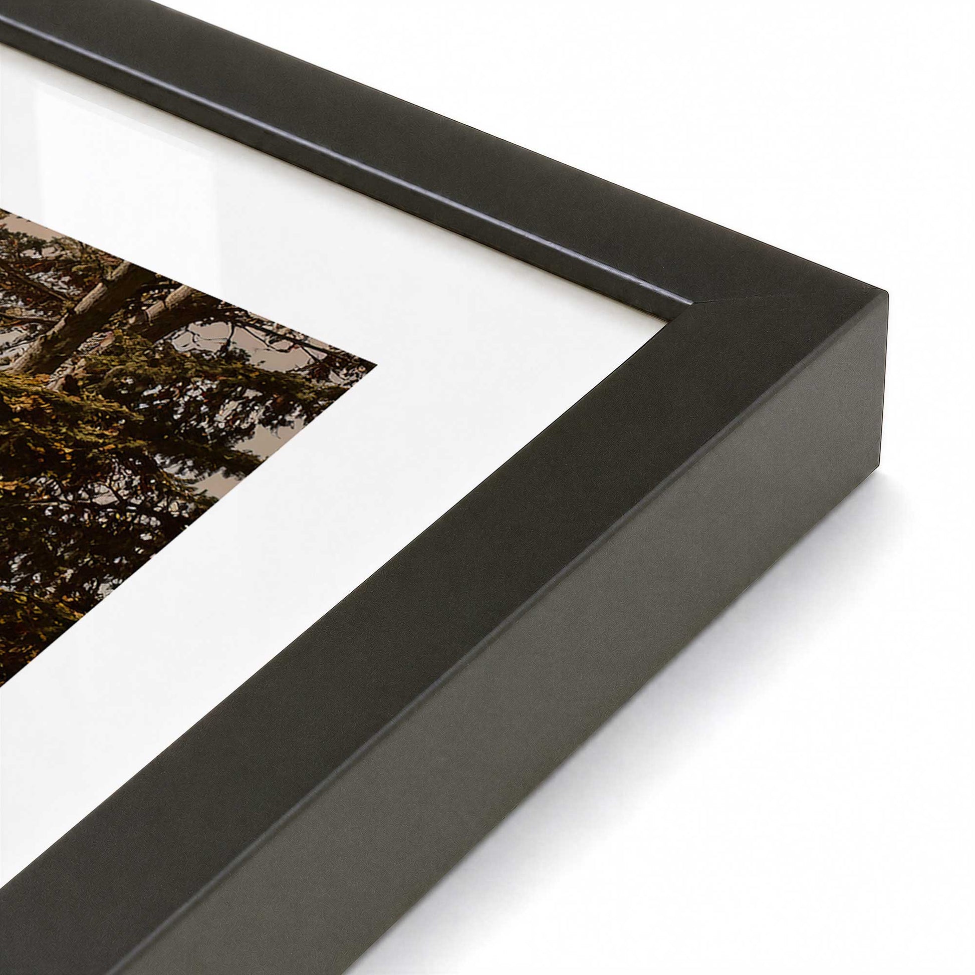 [Color:Satin Black], Picture of art in a Polished Chrome frame at an angle