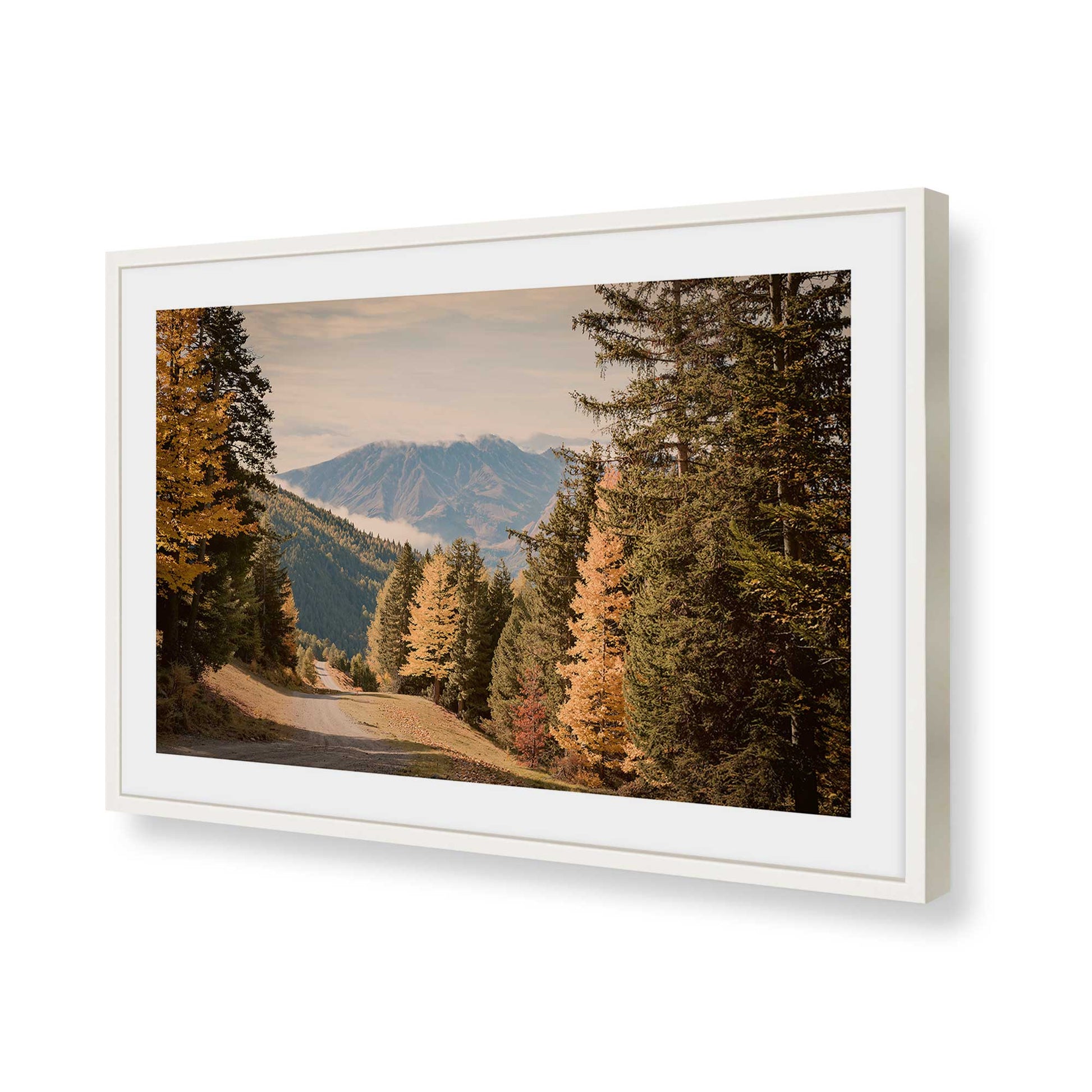 [Color:Opaque White], Picture of art in a Polished Chrome frame of the corner
