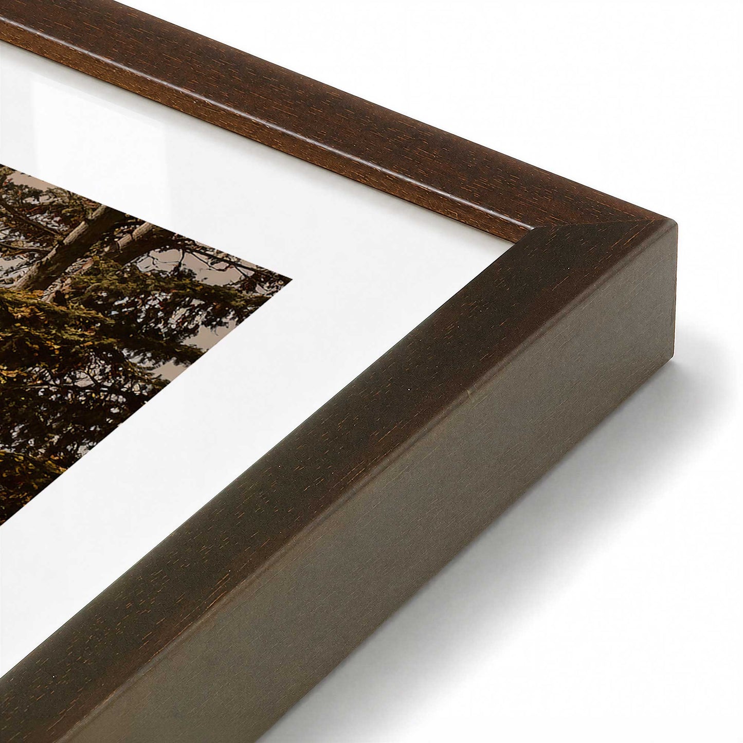[Color:Belvinder Brown], Picture of art in a Polished Chrome frame at an angle