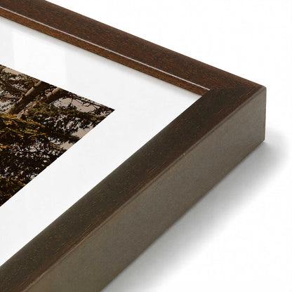 [Color:Belvinder Brown], Picture of art in a Polished Chrome frame at an angle