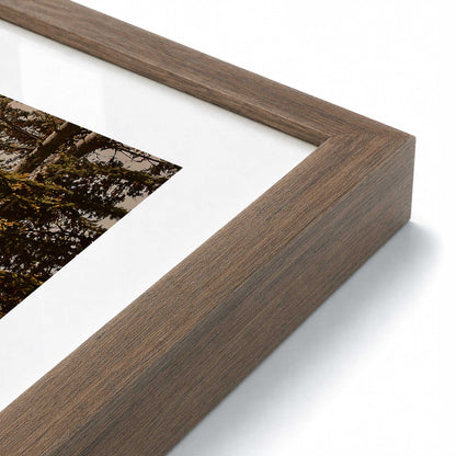 [Color:Walnut], Picture of art in a Polished Chrome frame at an angle