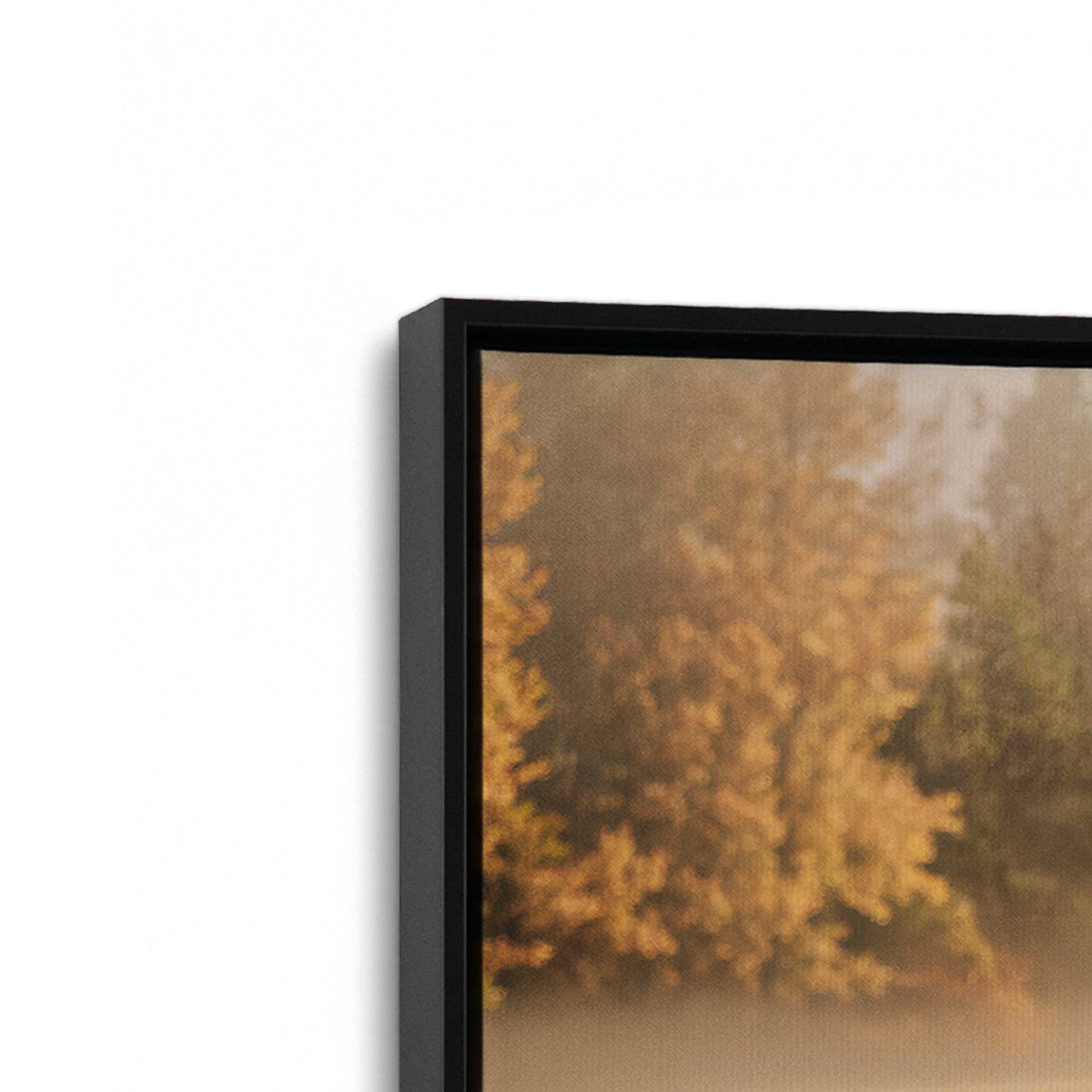 [Color:Satin Black], Picture of art in a Satin Black frame at an angle