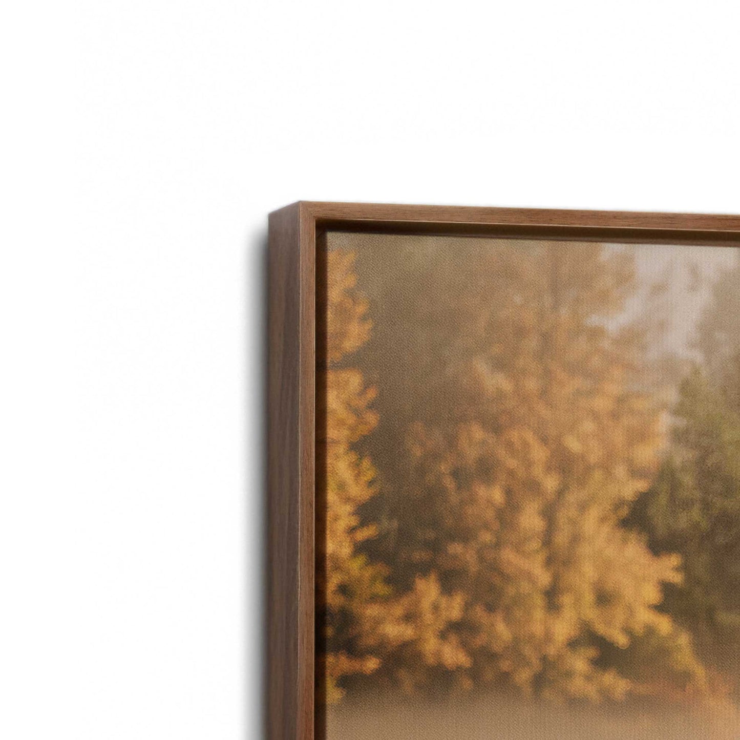 [Color:Walnut], Picture of art in a Walnut frame at an angle