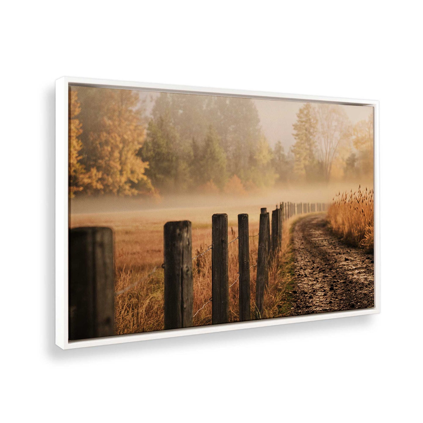 [Color:Opaque White], Picture of the corner of the art