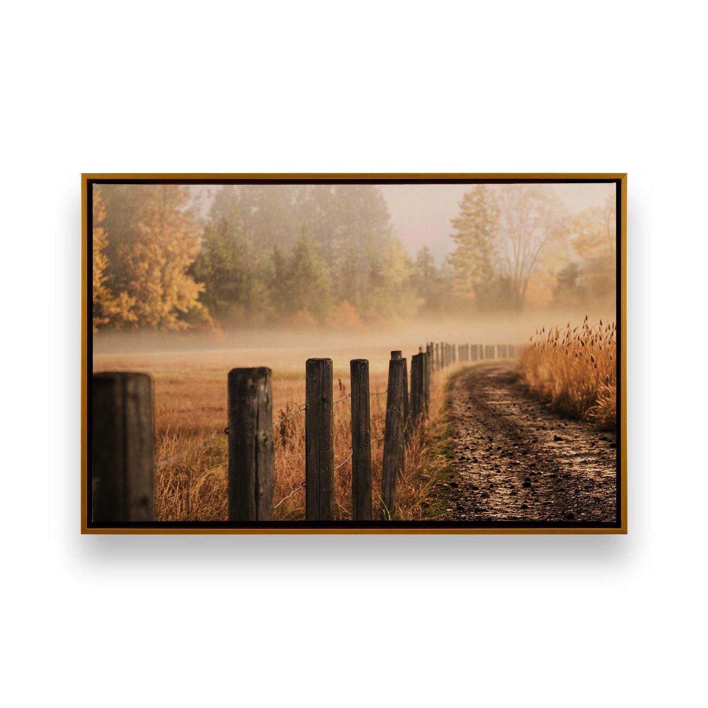 [Color:Polished Gold], Picture of art in a Polished Gold frame