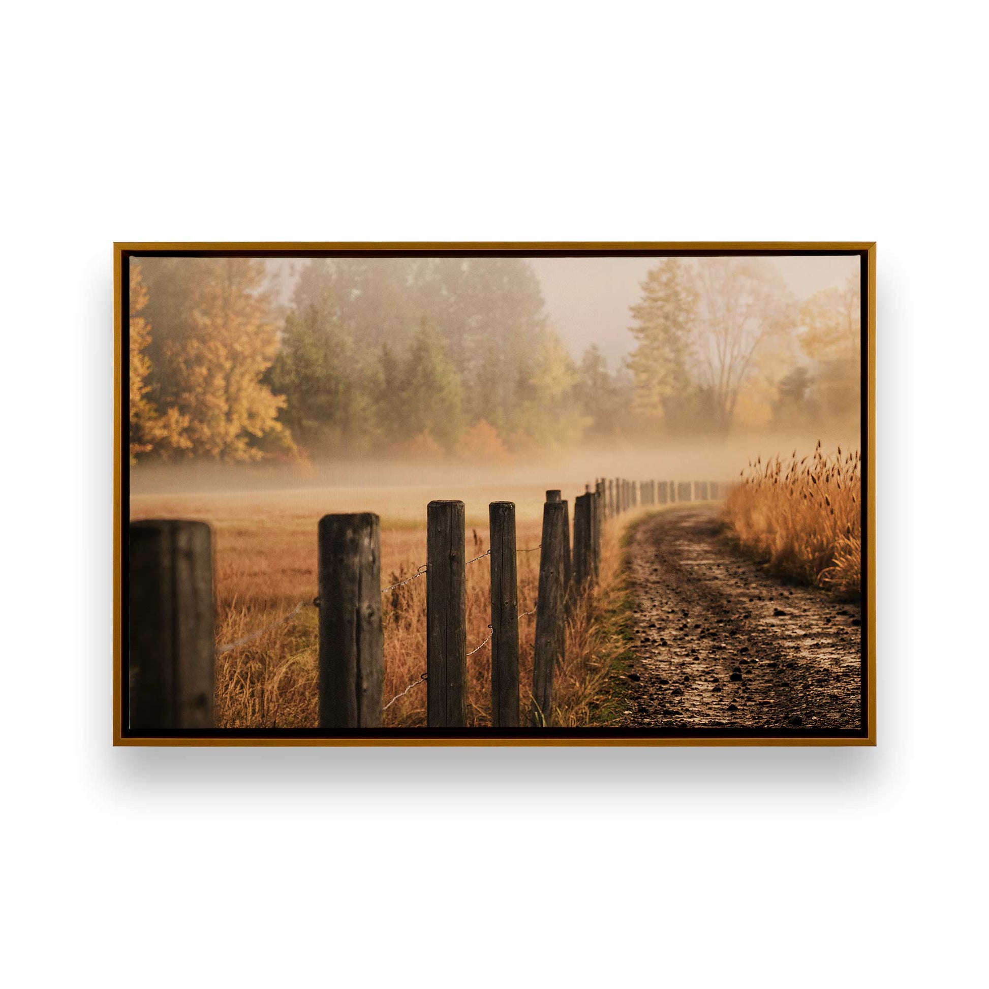 [Color:Polished Gold], Picture of art in a Polished Gold frame