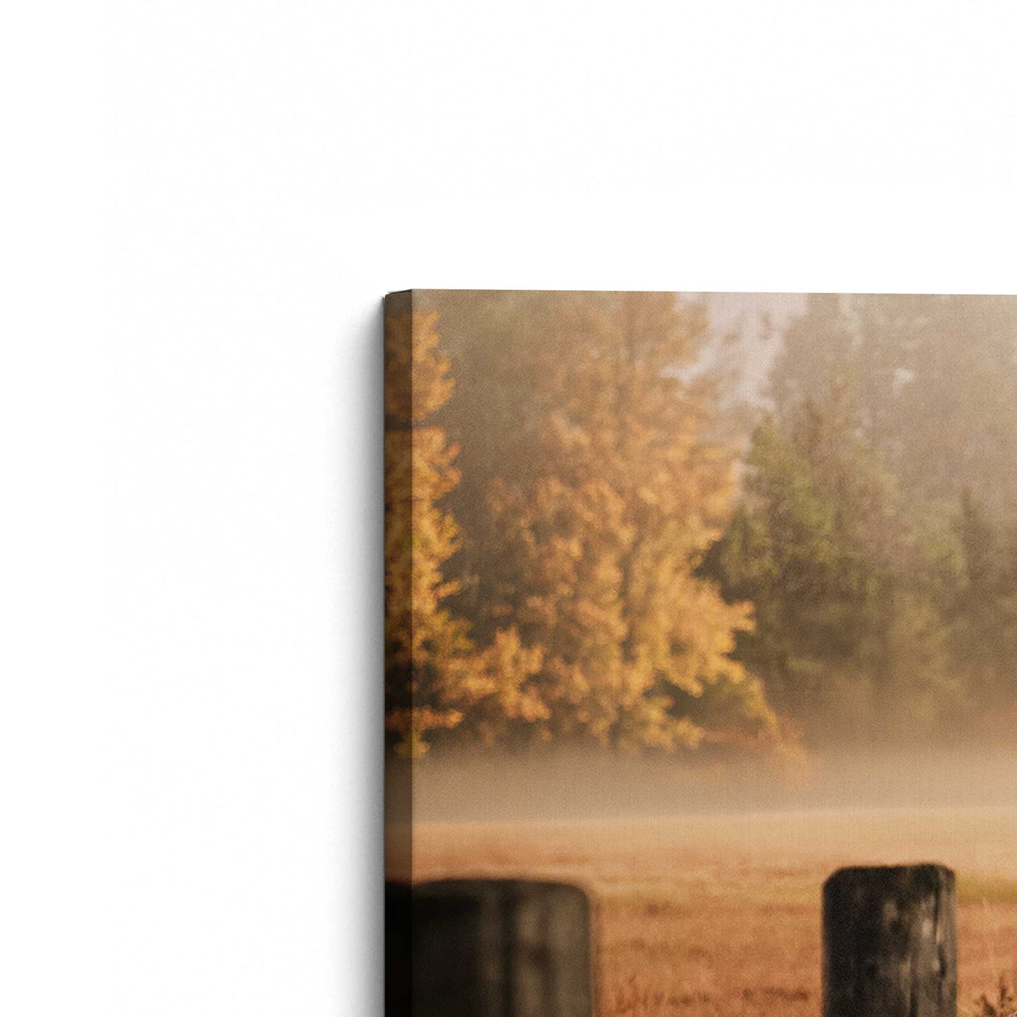 [Color:Stretched Canvas], Picture of the corner of the art