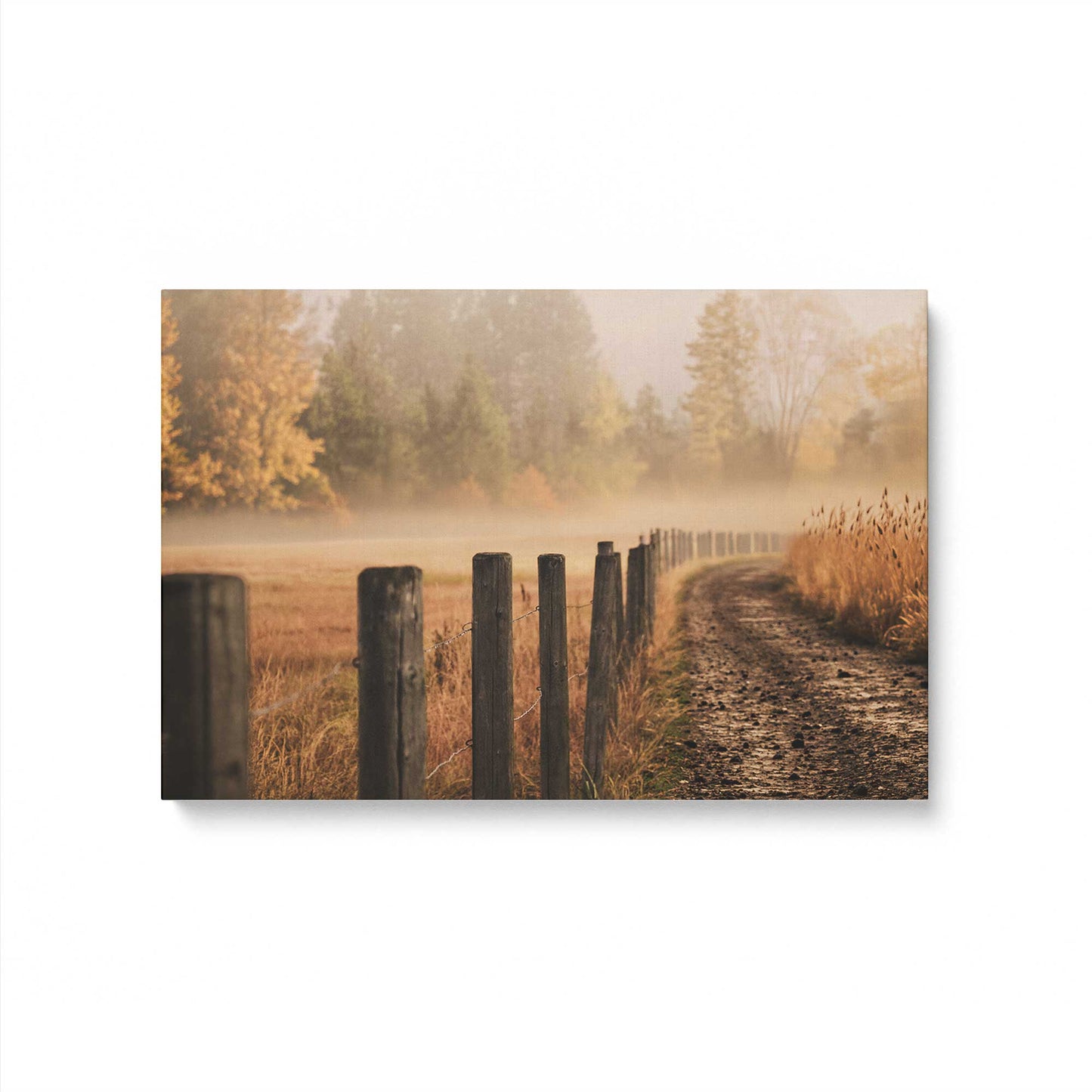 [Color:Stretched Canvas], Picture of art