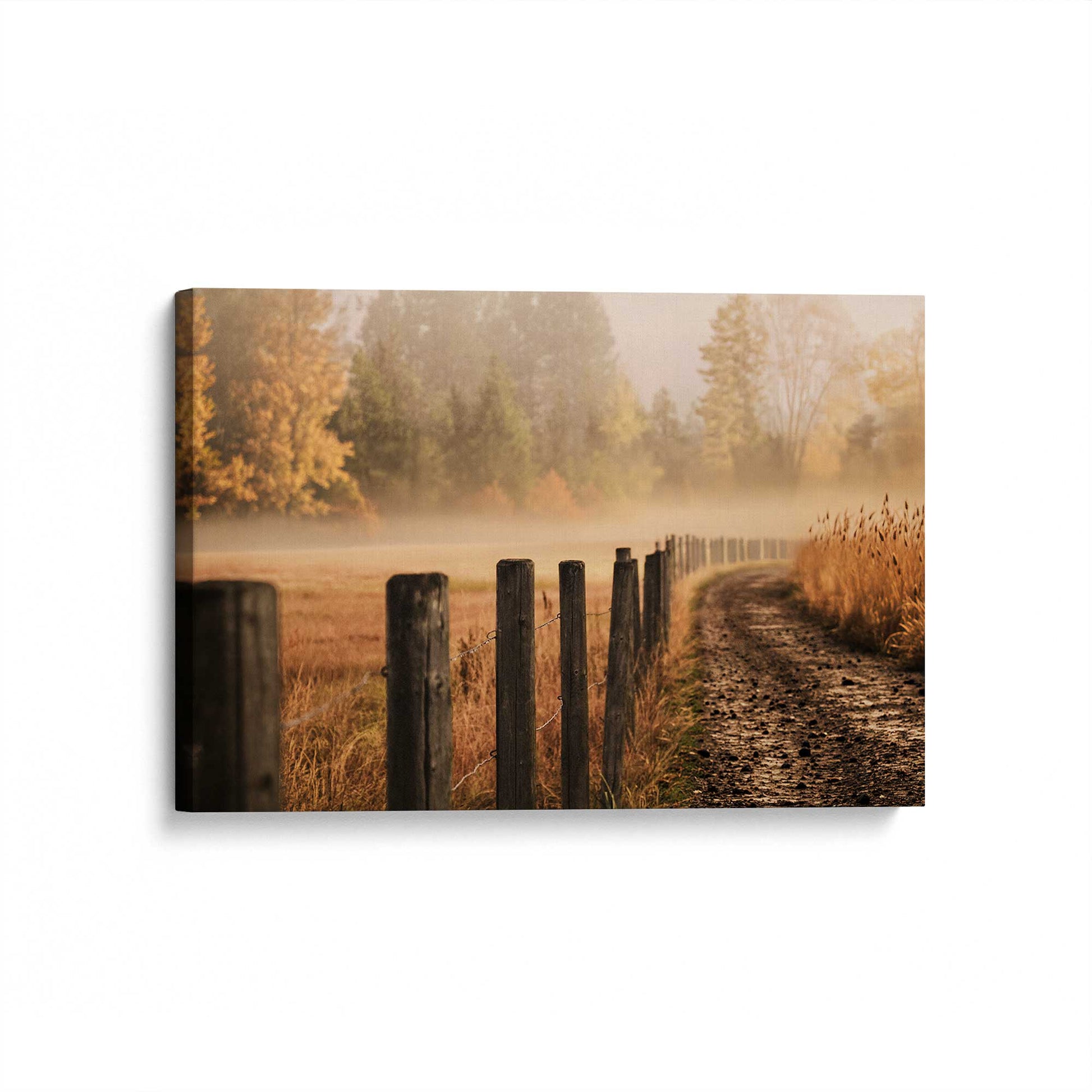 [Color:Stretched Canvas], Picture of art at an angle