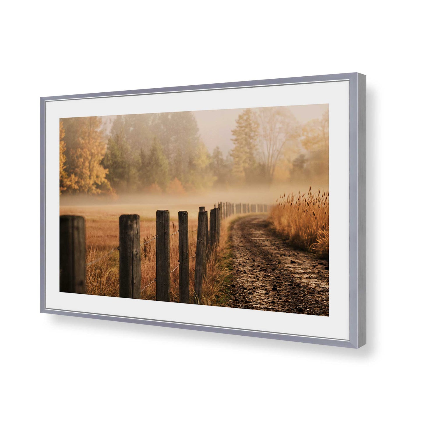 [Color:Polished Chrome], Picture of art in a Polished Chrome frame of the corner