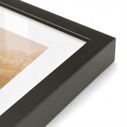 [Color:Satin Black], Picture of art in a Polished Chrome frame at an angle