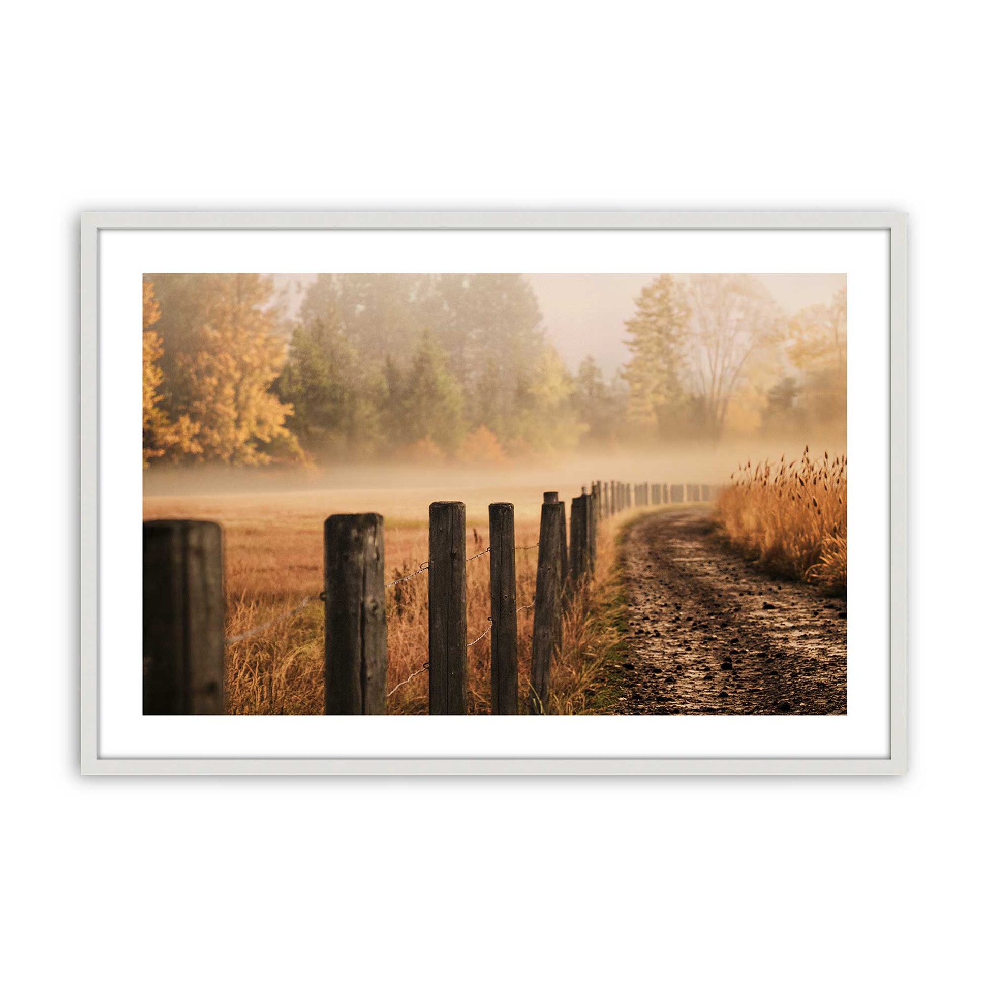 [Color:Opaque White], Picture of art in a Polished Chrome frame