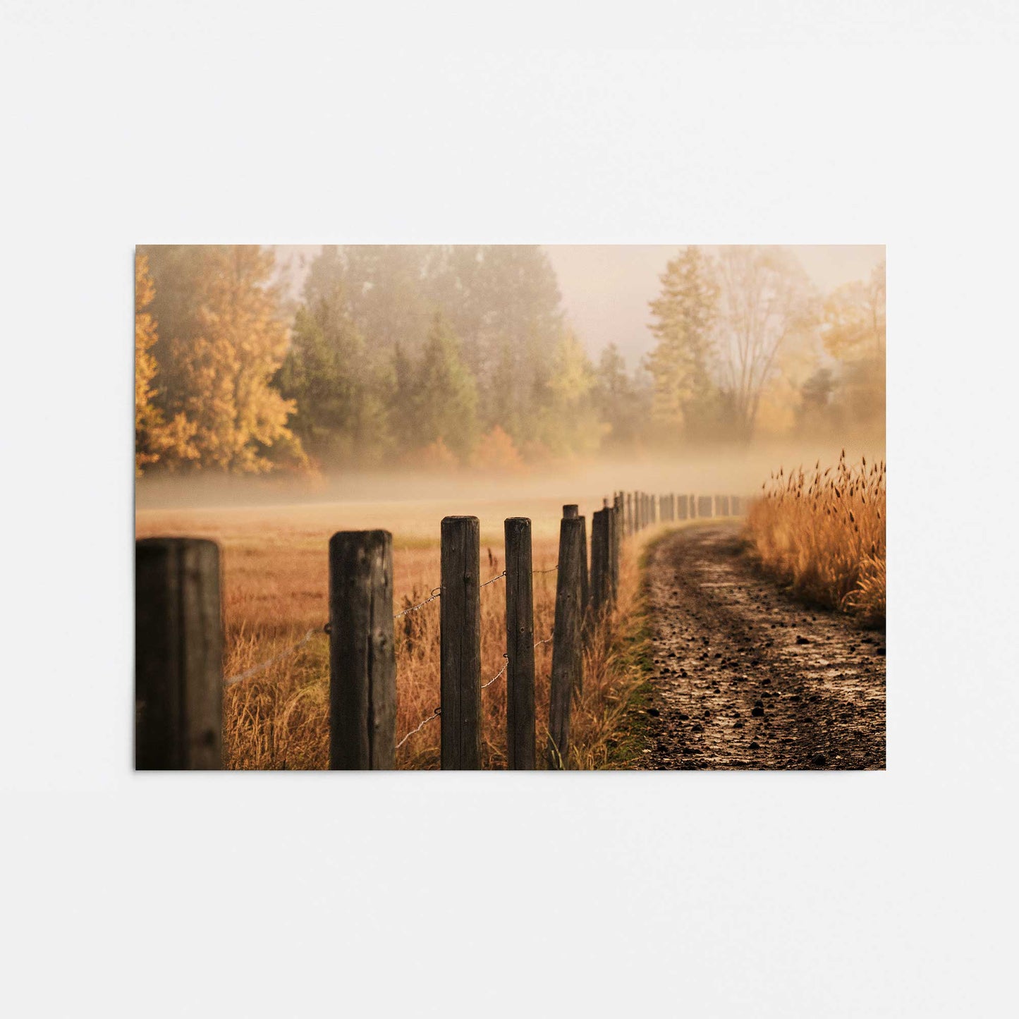[Color:Rolled Print], Picture of close up of art
