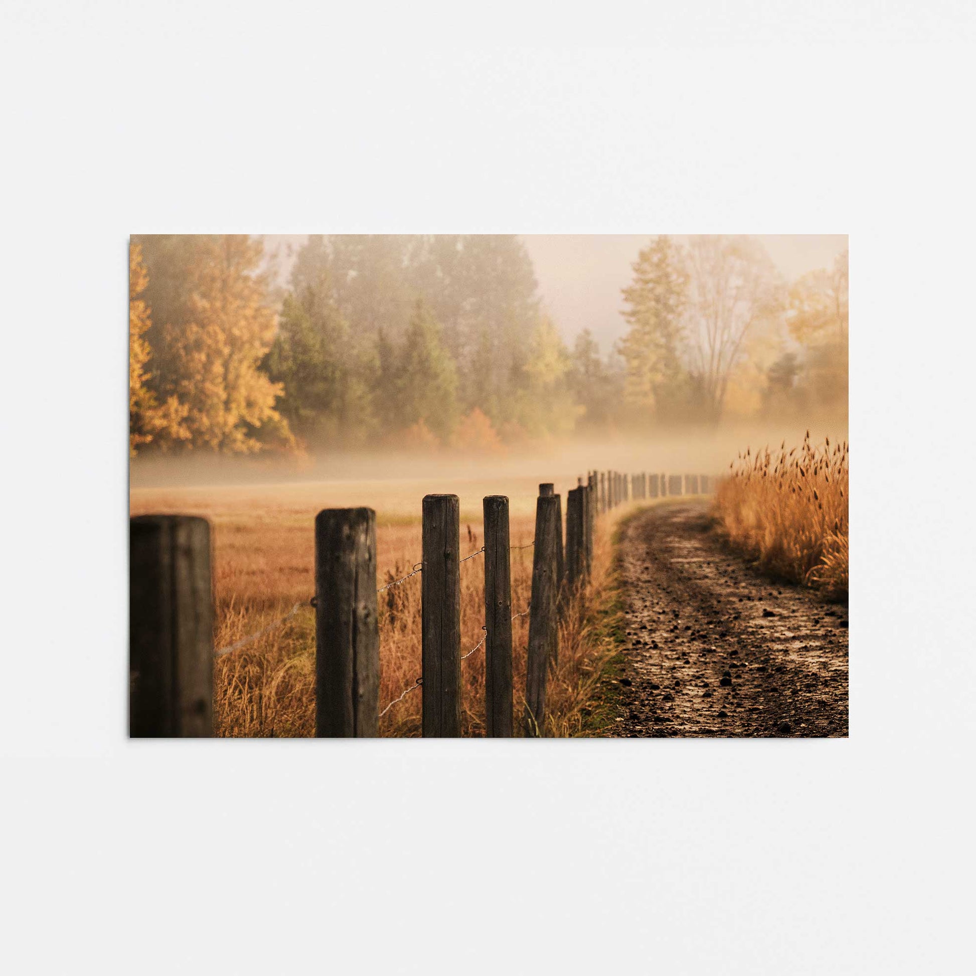 [Color:Rolled Print], Picture of close up of art