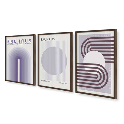[Color:Belvinder Brown], Picture of art in a Belvinder Brown frame at an angle