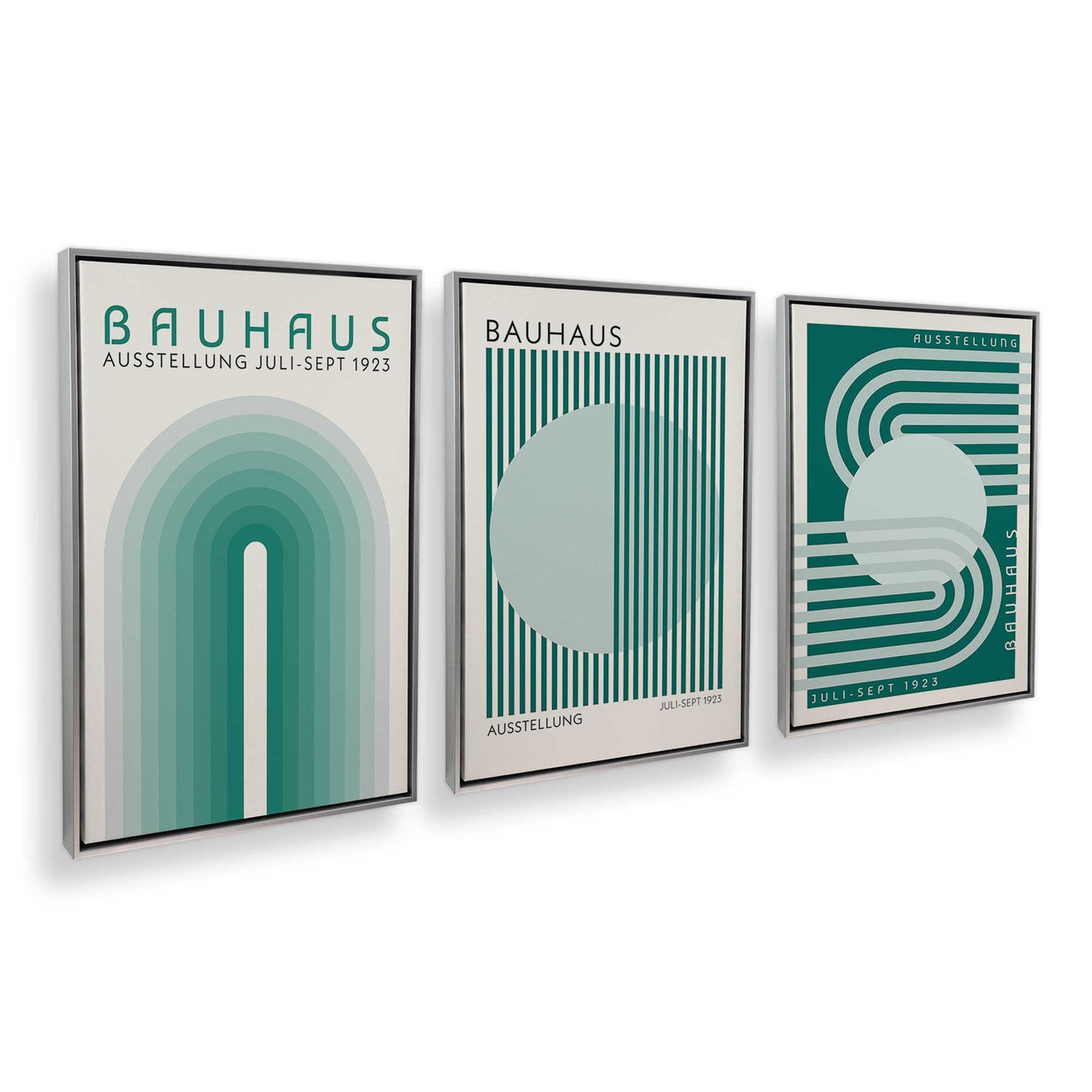 [Color:Polished Chrome], Picture of art in a Polished Chrome frame at an angle