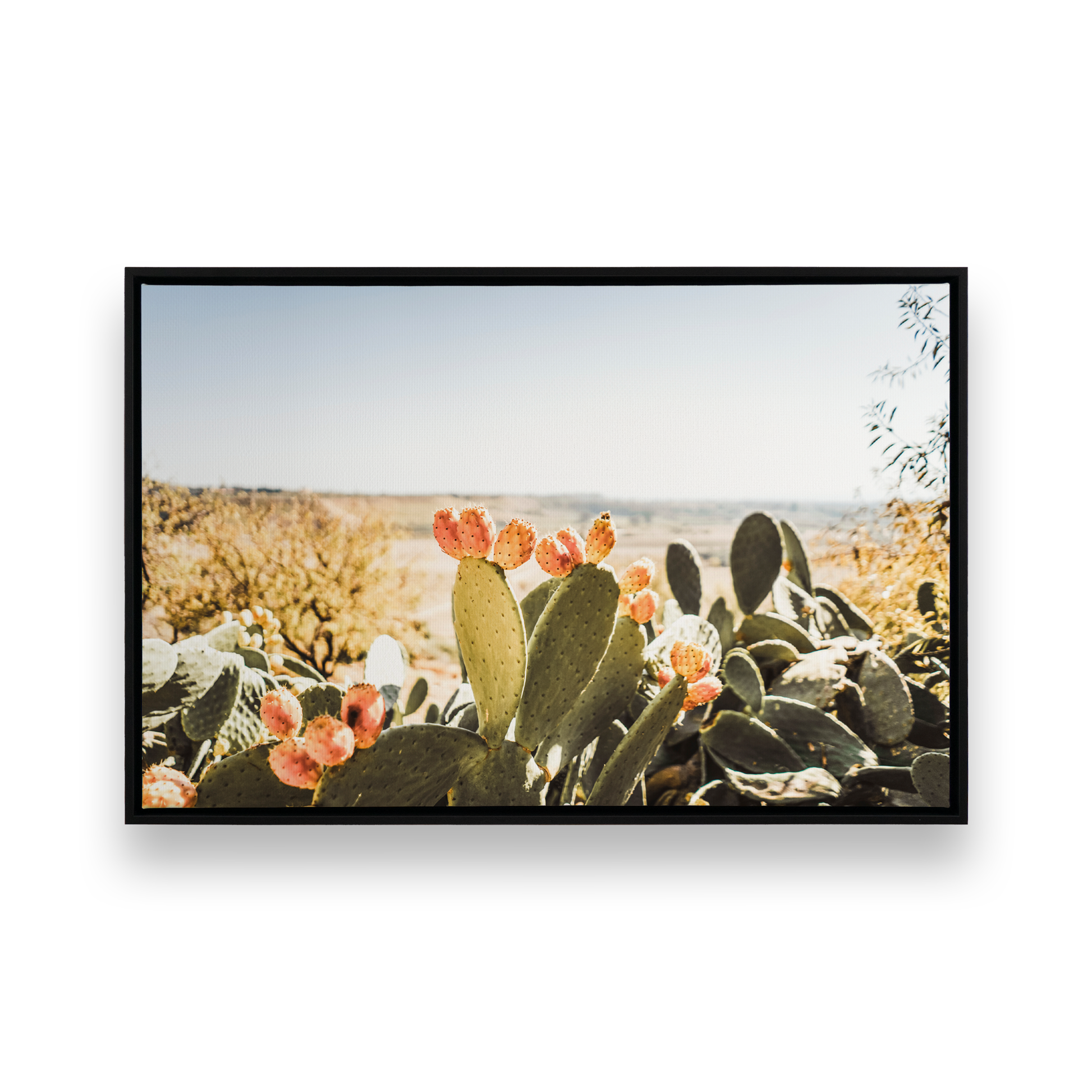 [Color:Satin Black], Front image of the art