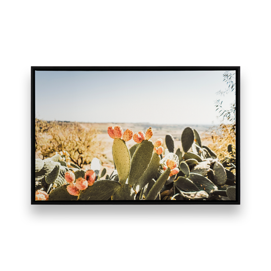 [Color:Satin Black], Front image of the art