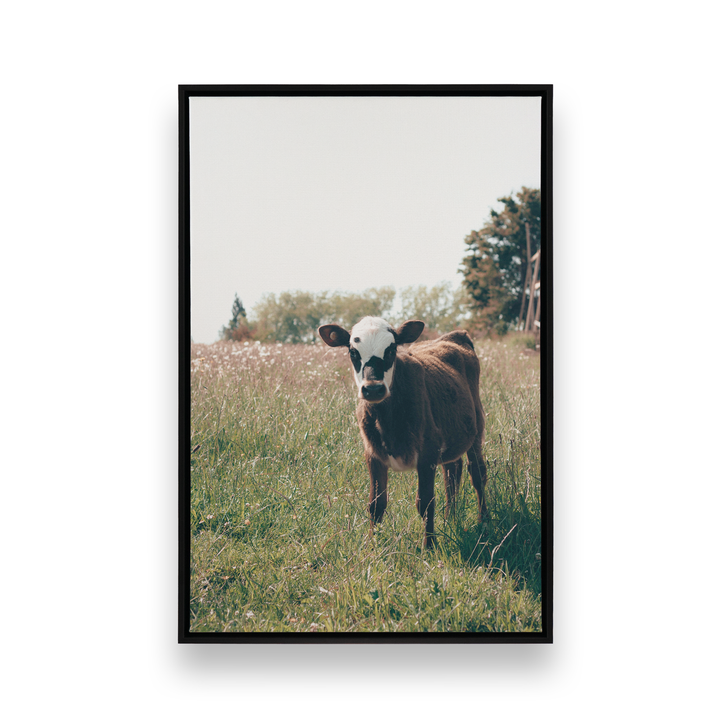[Color:Satin Black], Front image of the art