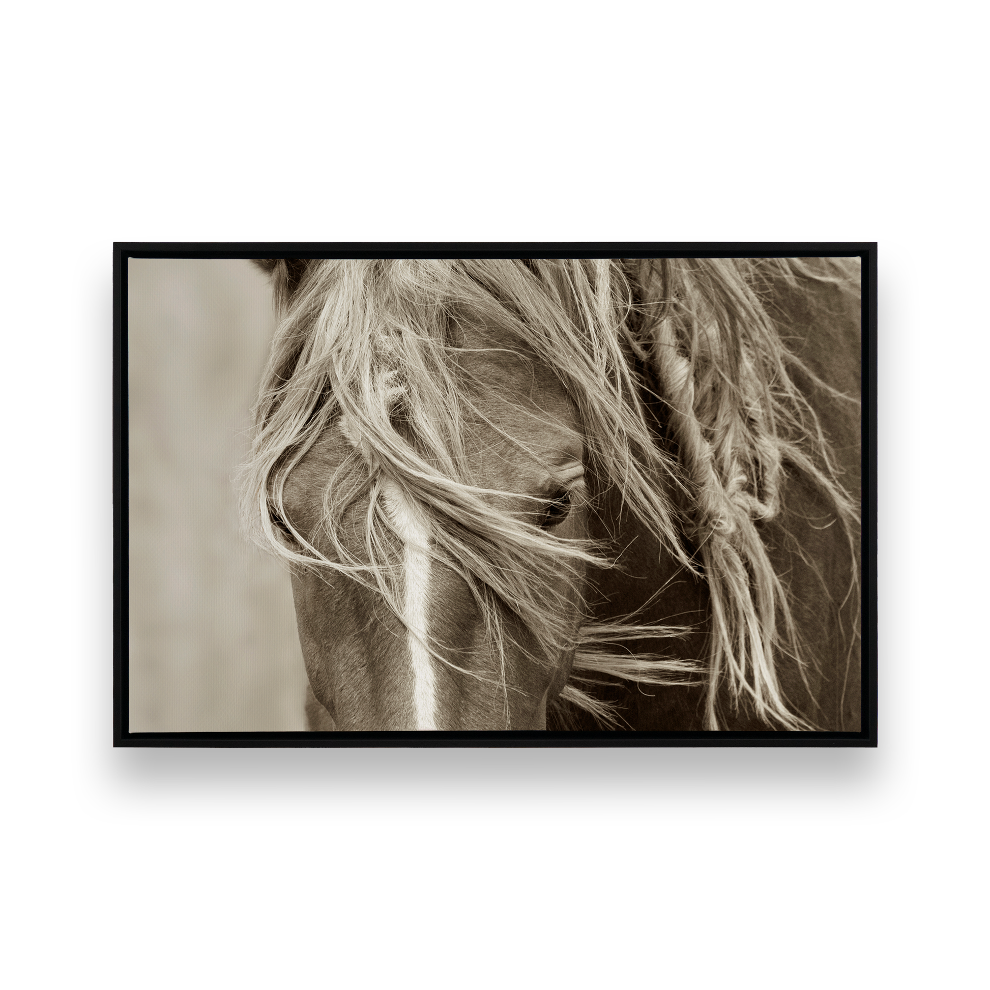 [Color:Satin Black], Front image of the art