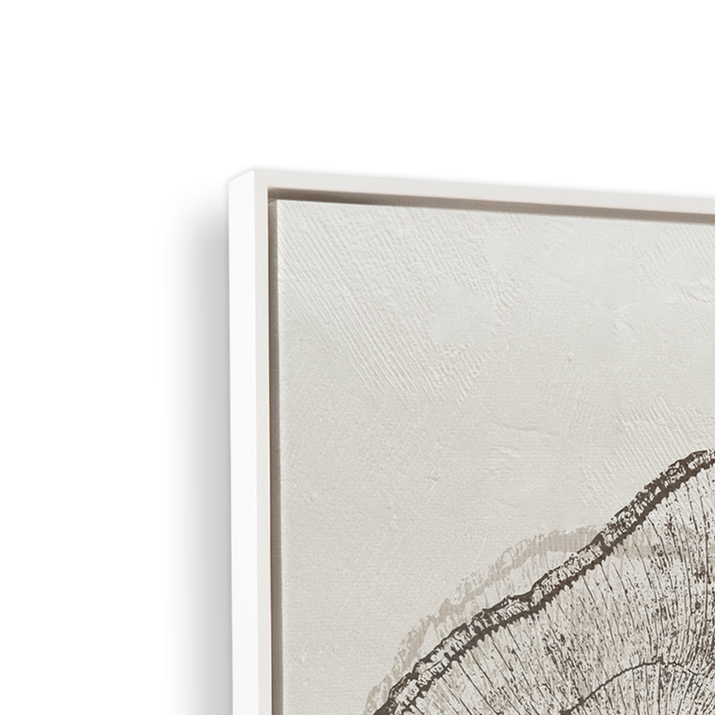 [color:Opaque White], Corner of Picture of art on Canvas