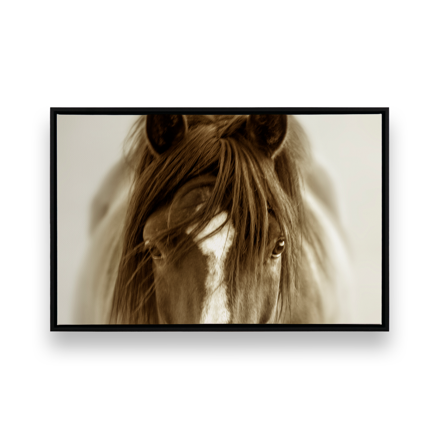 [Color:Satin Black], Front image of the art