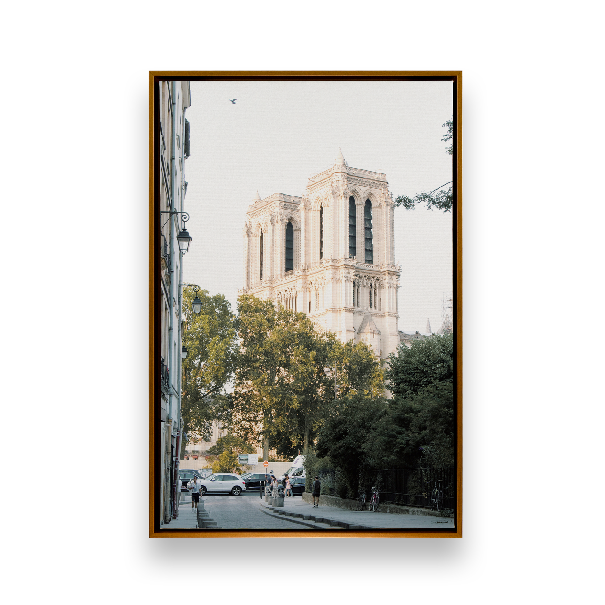 [color:Polished Gold], Picture of art in a black frame