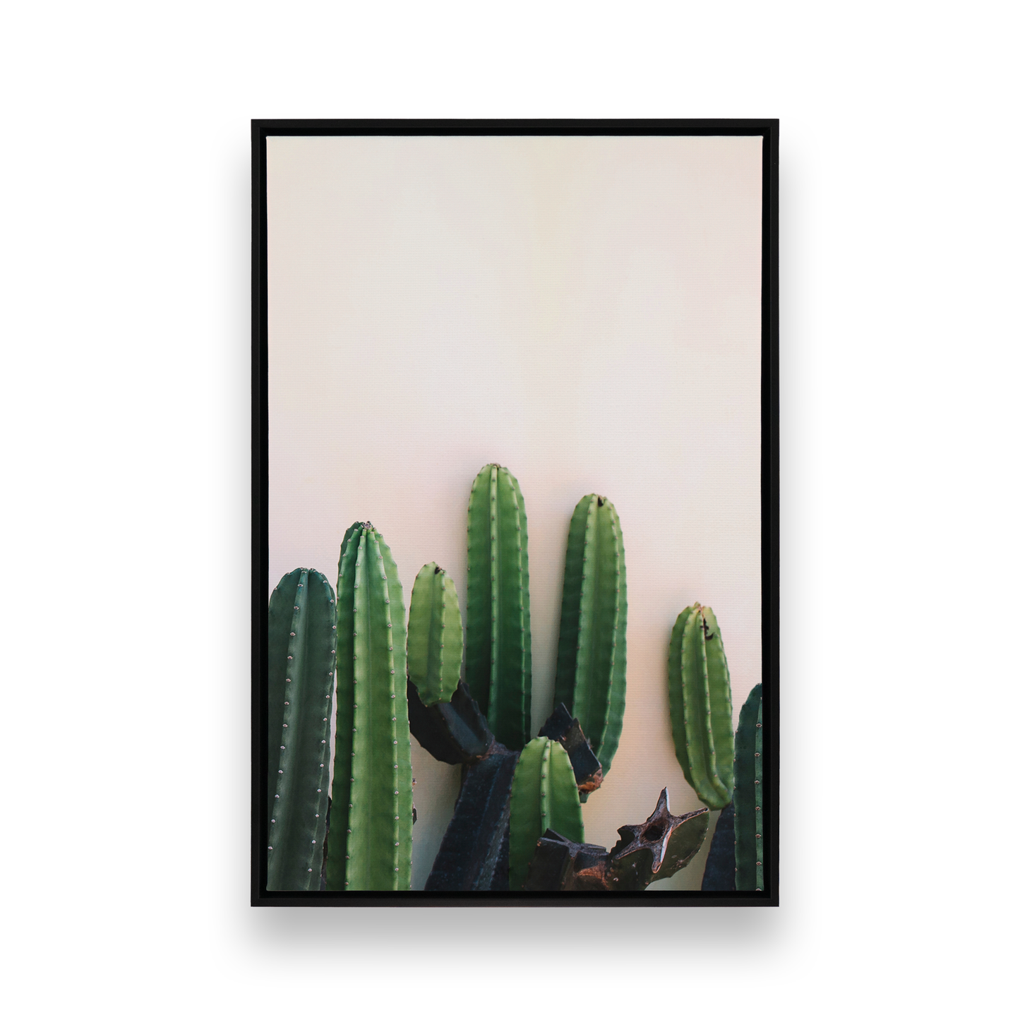 [Color:Satin Black], Front image of the art