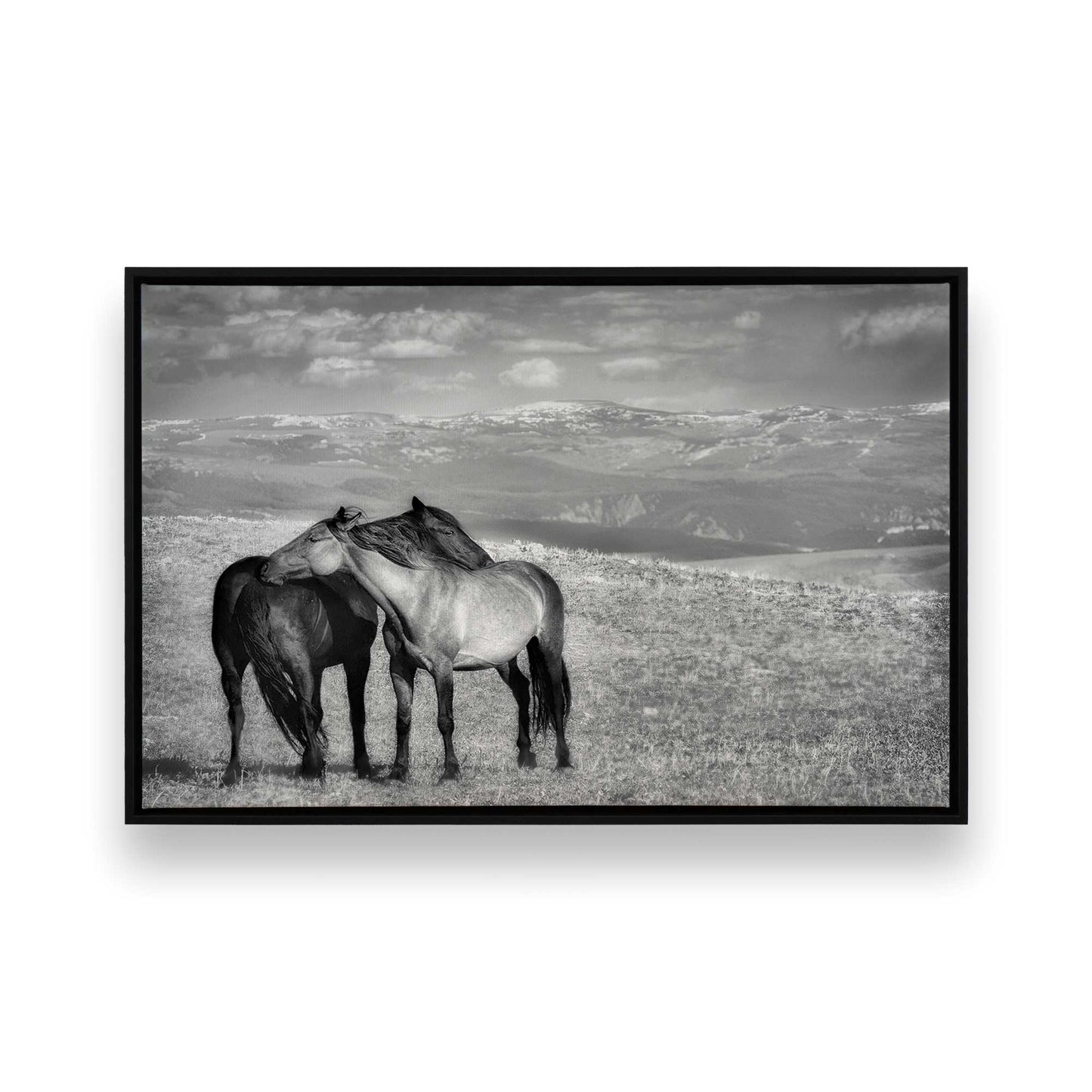 [Color:Satin Black], Front image of the art