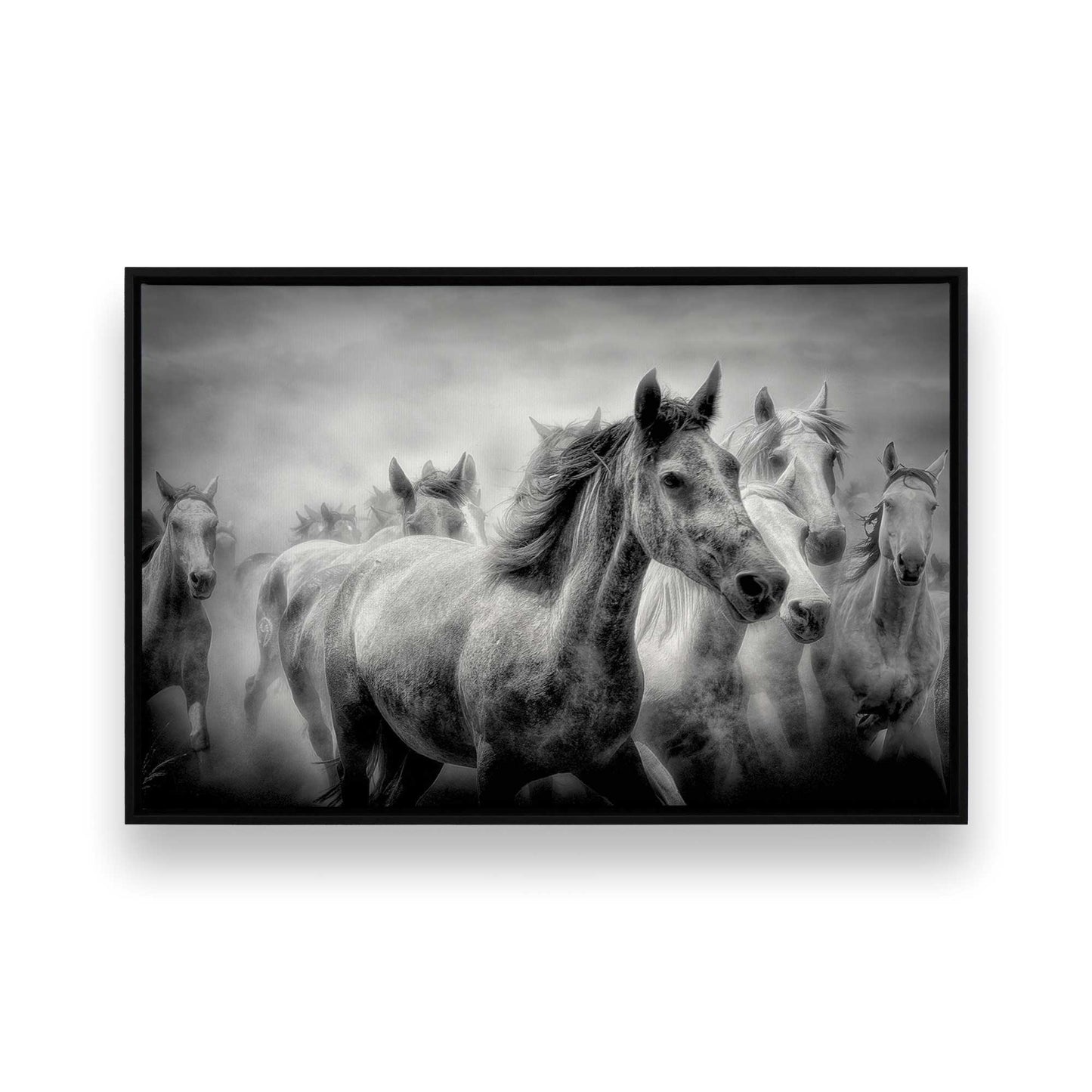 [Color:Satin Black], Front image of the art