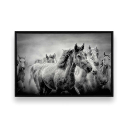 [Color:Satin Black], Front image of the art
