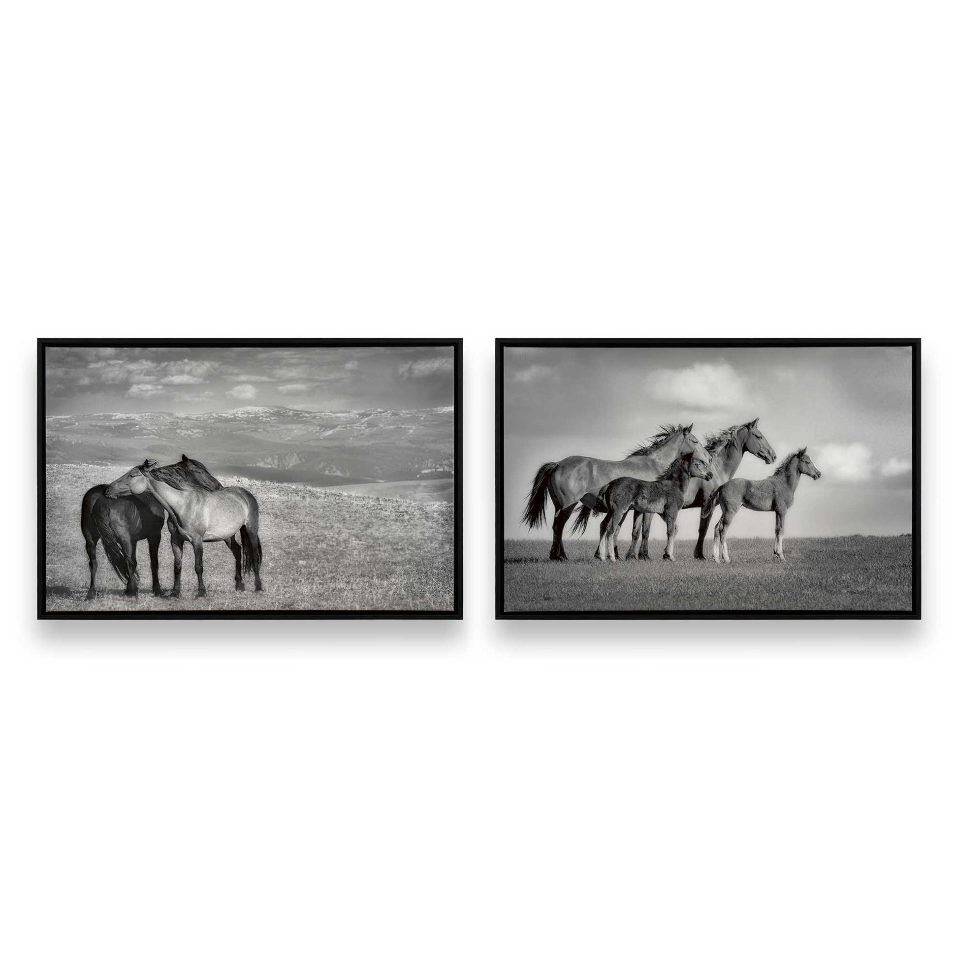 [Color:Satin Black], Front image of the art